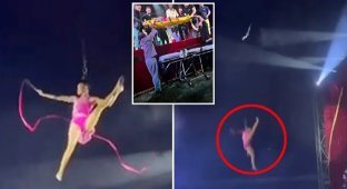Повітряна гімнастка зірвалася з висоти під час номера (4 фото + 1 відео)