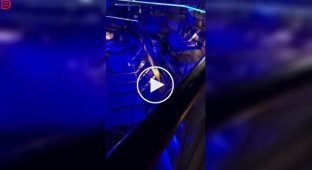 Когда круиз превращается в морской бой