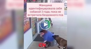 На женщину, идентифицирующую себя как собаку, напал настоящий пес