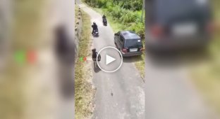 Two people on a motorcycle tried to rob a passerby, but failed