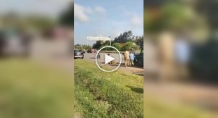 Леопард атаковал своего спасителя