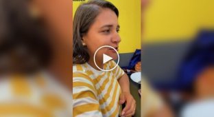 How delicacy ants decorate pizza in Brazil