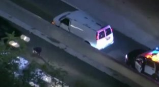 A car thief was hit by a car live on TV (3 photos + 1 video)