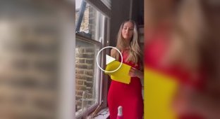 Є чарівна паличка, а тут чарівна ганчірочка