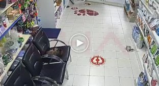 В Турции подростки бросили петарду в ветеринарную клинику