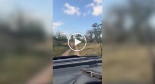 Здесь нельзя сбавлять скорость ни на секунду