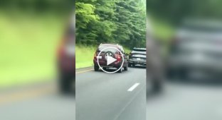 Що буває, якщо ти ідіот