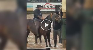 The final blow was personal: a horse effectively taught a cowboy a lesson at a rodeo