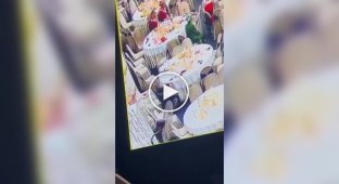 A woman relieved herself at a wedding under the table
