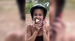 A failed attempt to make friends with an elephant