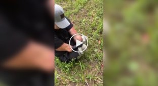 Мужчину без рук и ног обвиняют в убийстве