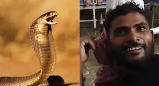 In India, a snake bit a man, and he bit her back three times (2 photos)