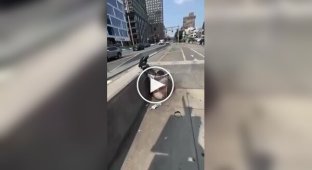 Meanwhile in Philadelphia