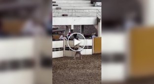 Лошадь укусила и ударила ковбоя на соревнованиях в Техасе