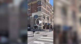 Museum of disgusting Food