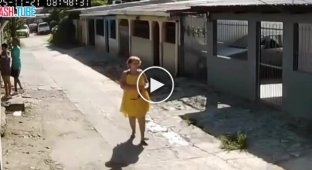 В Гондурасе автоледи случайно задавила жертву ограбления