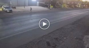 Ніщо не віщувало біди