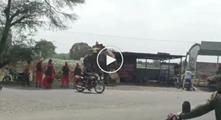 A horse attacked an elephant in India