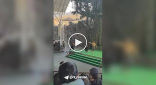 A bear attacked a trainer during a show at a safari park in China