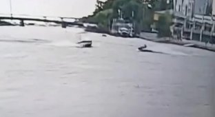 Не надо забывать о том, что на воде тоже имеются свои мотоциклисты (5 фото + 1 видео)