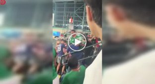 Драка на трибунах: фанат толкнул болельщиков Мексики — и через секунды началась массовая потасовка