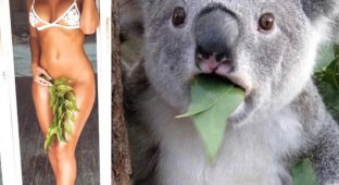 П'ятничні фото приколи з митом