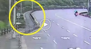 A monkey on the highway caused a bizarre accident