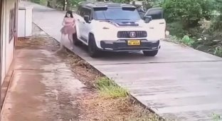 A criminal accident (6 photos + 1 video)