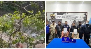 Пара зайнялася любов'ю на очах у туристів у Таїланді (3 фото + 1 відео)