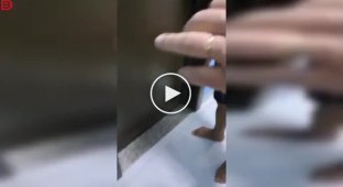 A priest in Brazil was caught with a parishioner's fiancée