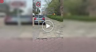 Когда природа вносит свои коррективы