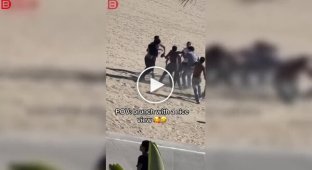 Завтрак с таким видом сразу становится гораздо интереснее