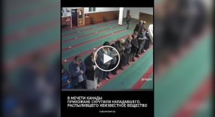 Мужчина ворвался в мечеть в Канаде и распылил слезоточивый газ
