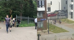 In the capital of Russia, Muslims were prevented from slaughtering sheep in the park and on the site in the residential complex (7 photos + 2 videos)