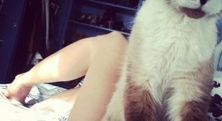 Giza Lagarce модель во втором поколении из Нью-Йорка