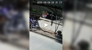 Отвлекся и убил собственного ребенка