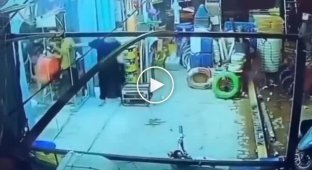 Корова влаштувала переполох у перукарні