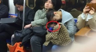 The big Japanese problem of sniffers on the train (5 photos)