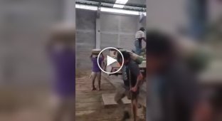 Каждый имеет право на труд