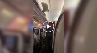 Пасажир літака вдарив попутника по особі за крадіжку сумки