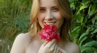 Delizi среди зелени