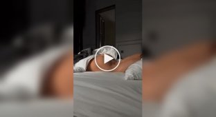 Утренняя попка