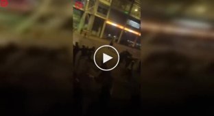 A dog accidentally bit a police officer