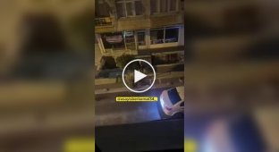 Чуть не разорвал: в Турции питбуль вцепился в руку хозяину