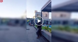 Вечеринка у бассейна в Аргентине закончилась перестрелкой с полицией