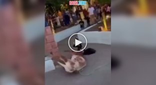 В Мексике бык набросился на девушку во время корриды