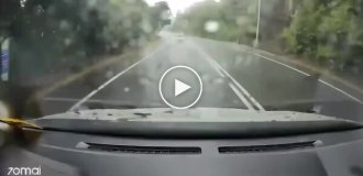 Жахлива ДТП в Малайзії