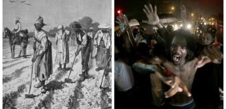 Why former slaves did not leave the US back to Africa (11 photos)