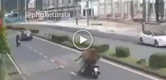 Никто не любит мотоциклистов