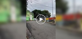 З розгону в стіну